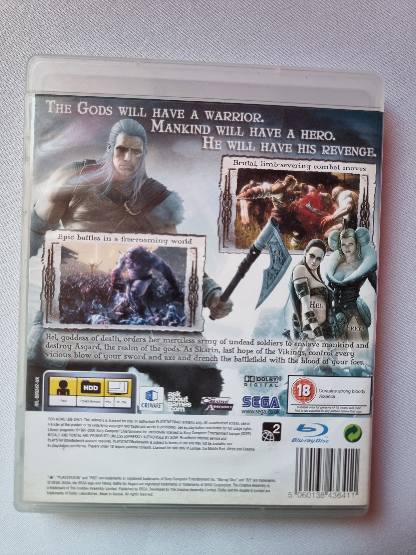 Viking: Battle for Asgard