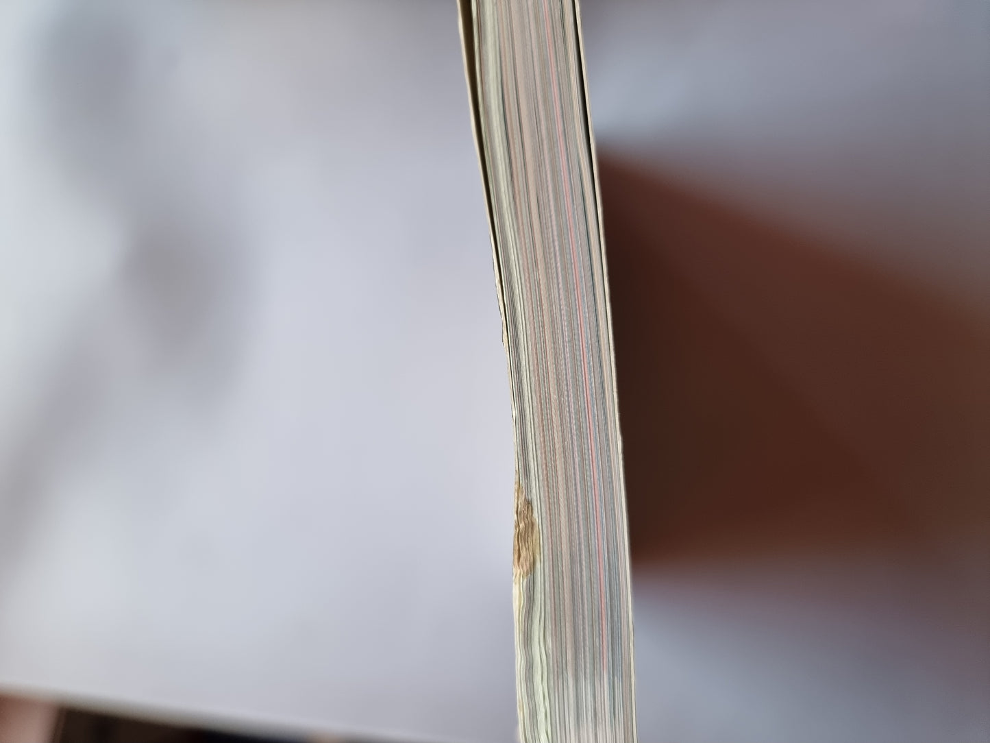 Pokemon Schwarz Weiß