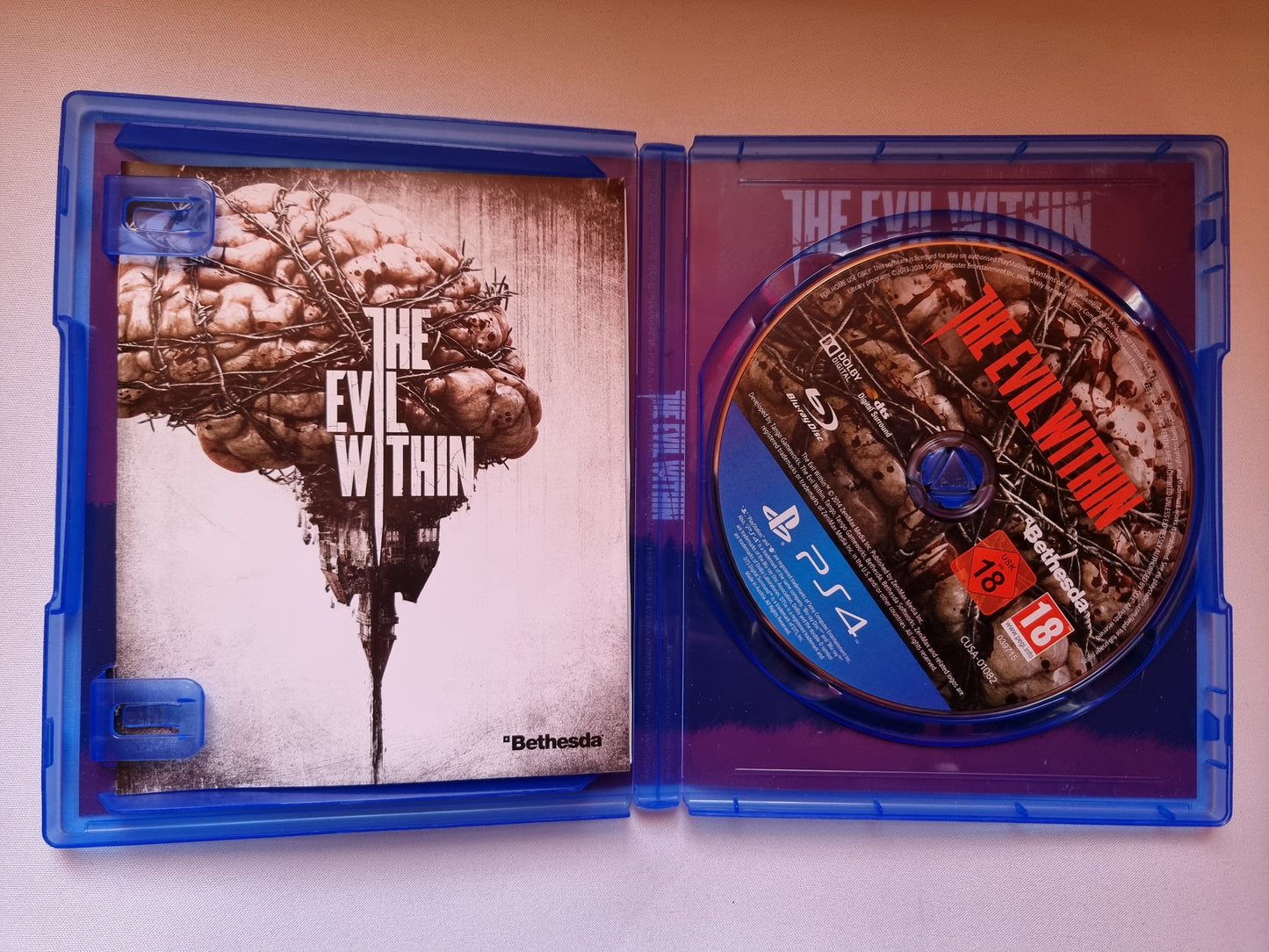The Evil  Within