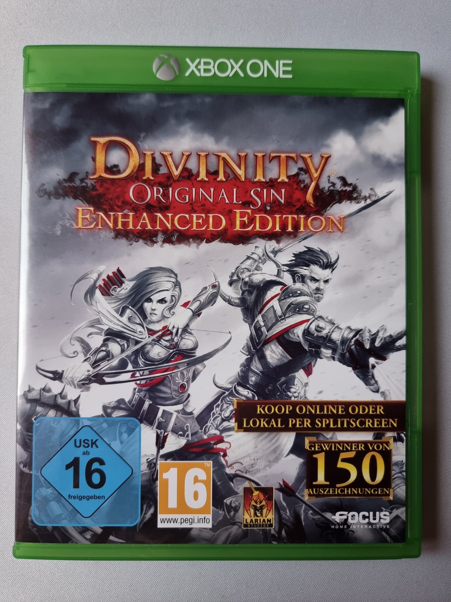 Divinity Original Sin Enhanced Edition