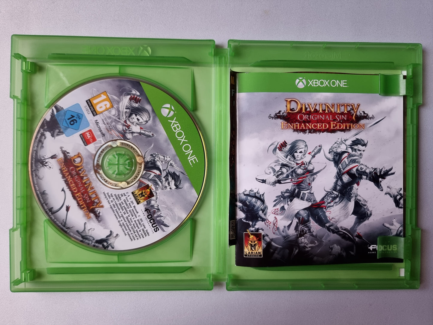 Divinity Original Sin Enhanced Edition