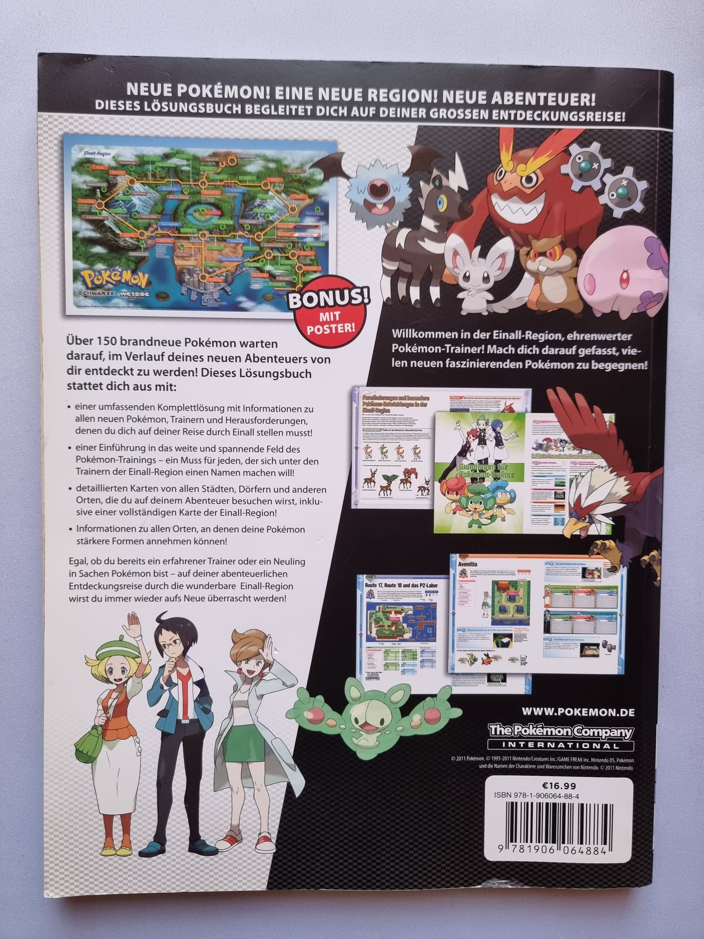 Pokemon Schwarz Weiß