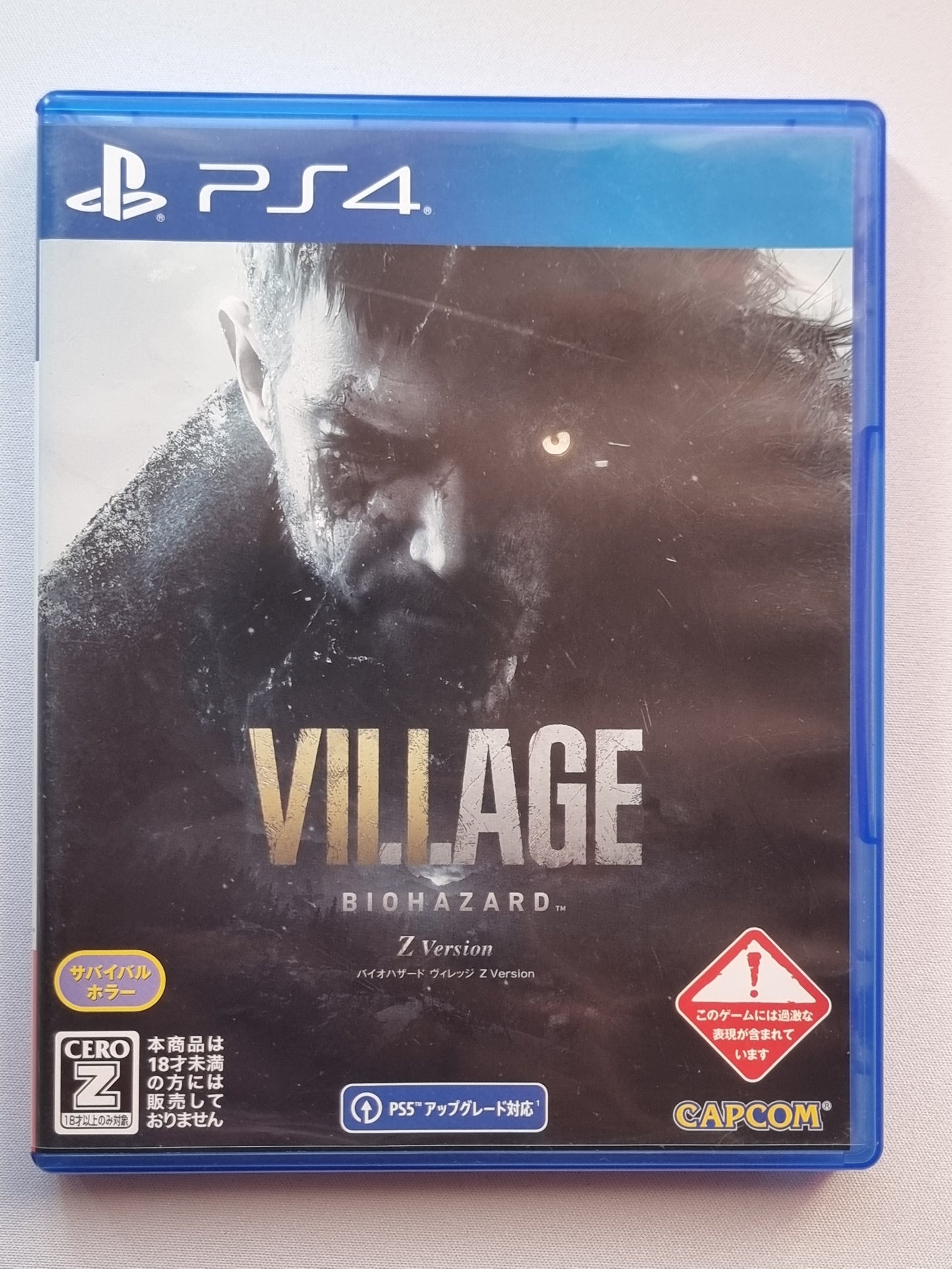 Village Biohazard (Z Version)