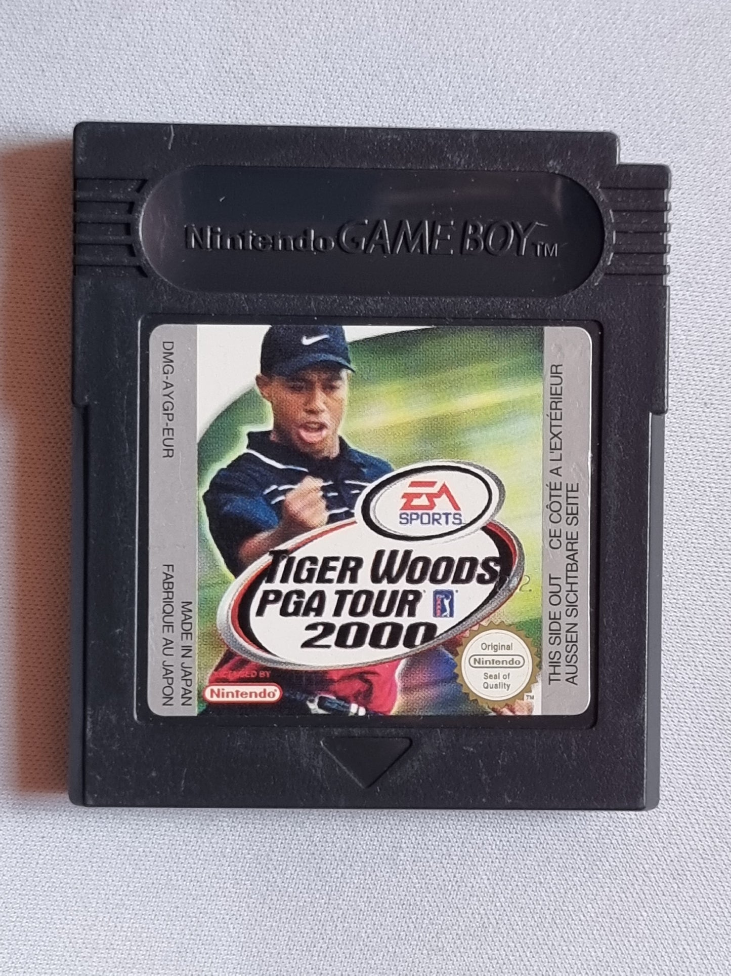 Tiger Woods PGA Tour 2000